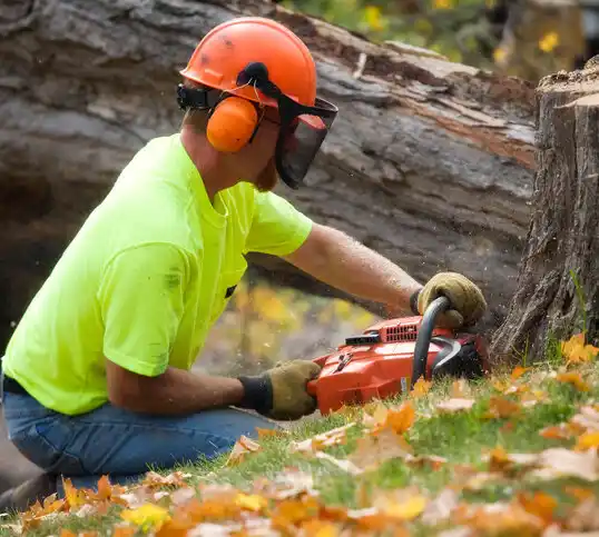 tree services Grand Forks AFB